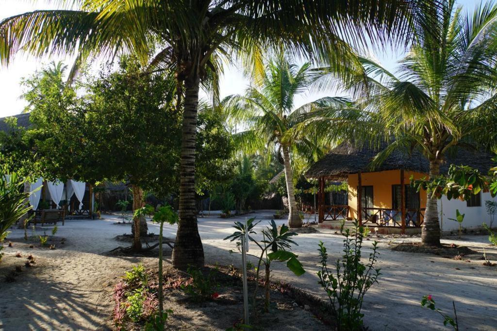 Dreams Of Mapacha Bed and Breakfast Michamvi Exteriör bild