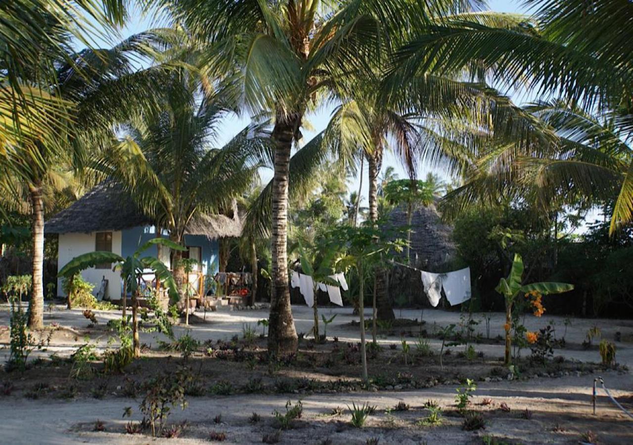Dreams Of Mapacha Bed and Breakfast Michamvi Exteriör bild