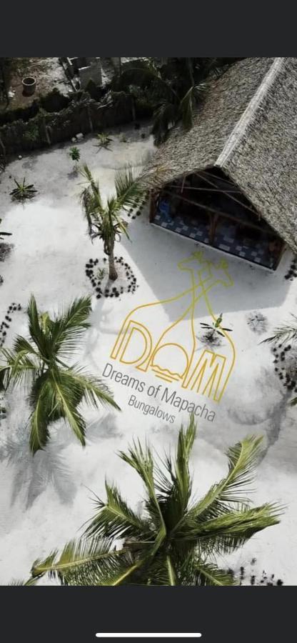 Dreams Of Mapacha Bed and Breakfast Michamvi Exteriör bild