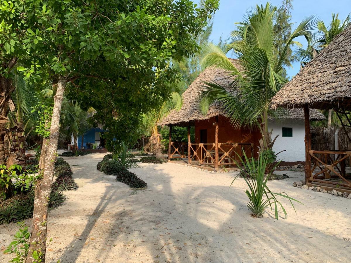 Dreams Of Mapacha Bed and Breakfast Michamvi Exteriör bild
